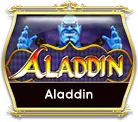 OCMY8 aladdin OCMY8 aladdin