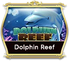 OCMY8 dolphin reef OCMY8 dolphin reef