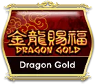 OCMY8 dragon gold OCMY8 dragon gold