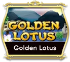 OCMY8 golden lotus OCMY8 golden lotus