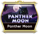 OCMY8 panther moon OCMY8 panther moon