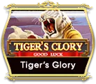 OCMY8 tiger glory OCMY8 tiger glory